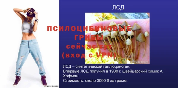 спайс Баксан