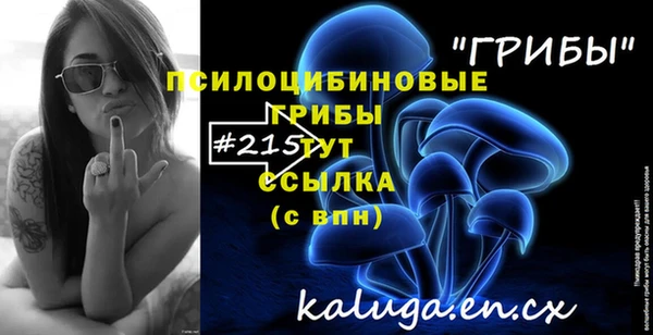 молекула духа Навашино