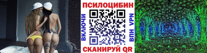 купить наркоту  Армавир  Галлюциногенные грибы GOLDEN TEACHER 