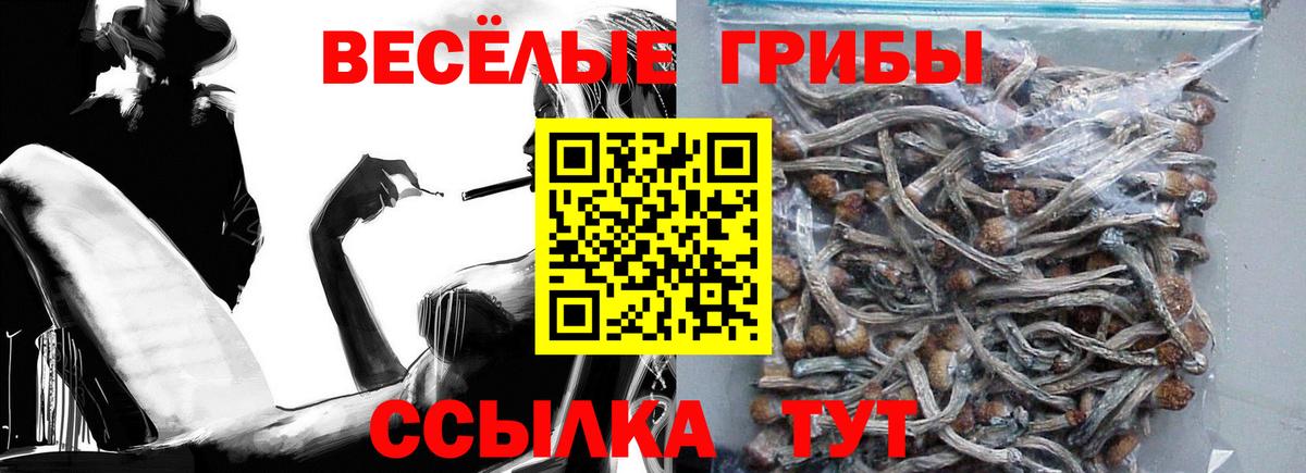 Армавир  Галлюциногенные грибы MAGIC MUSHROOMS  Вход с VPN  Псилоцибиновые грибы MAGIC MUSHROOMS 