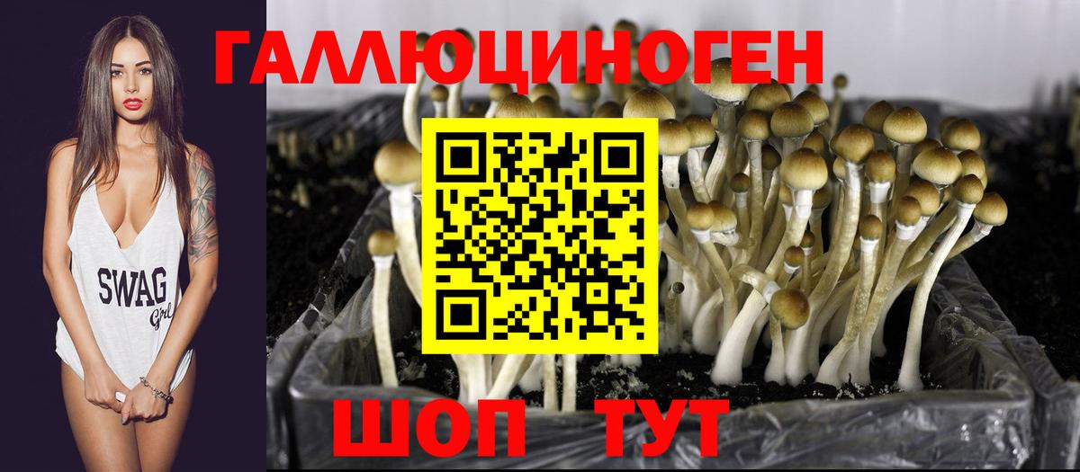 Псилоцибиновые грибы Magic Shrooms Армавир